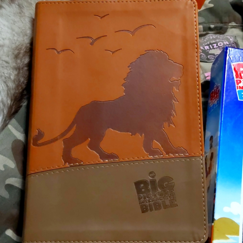 Big picture interactive bible